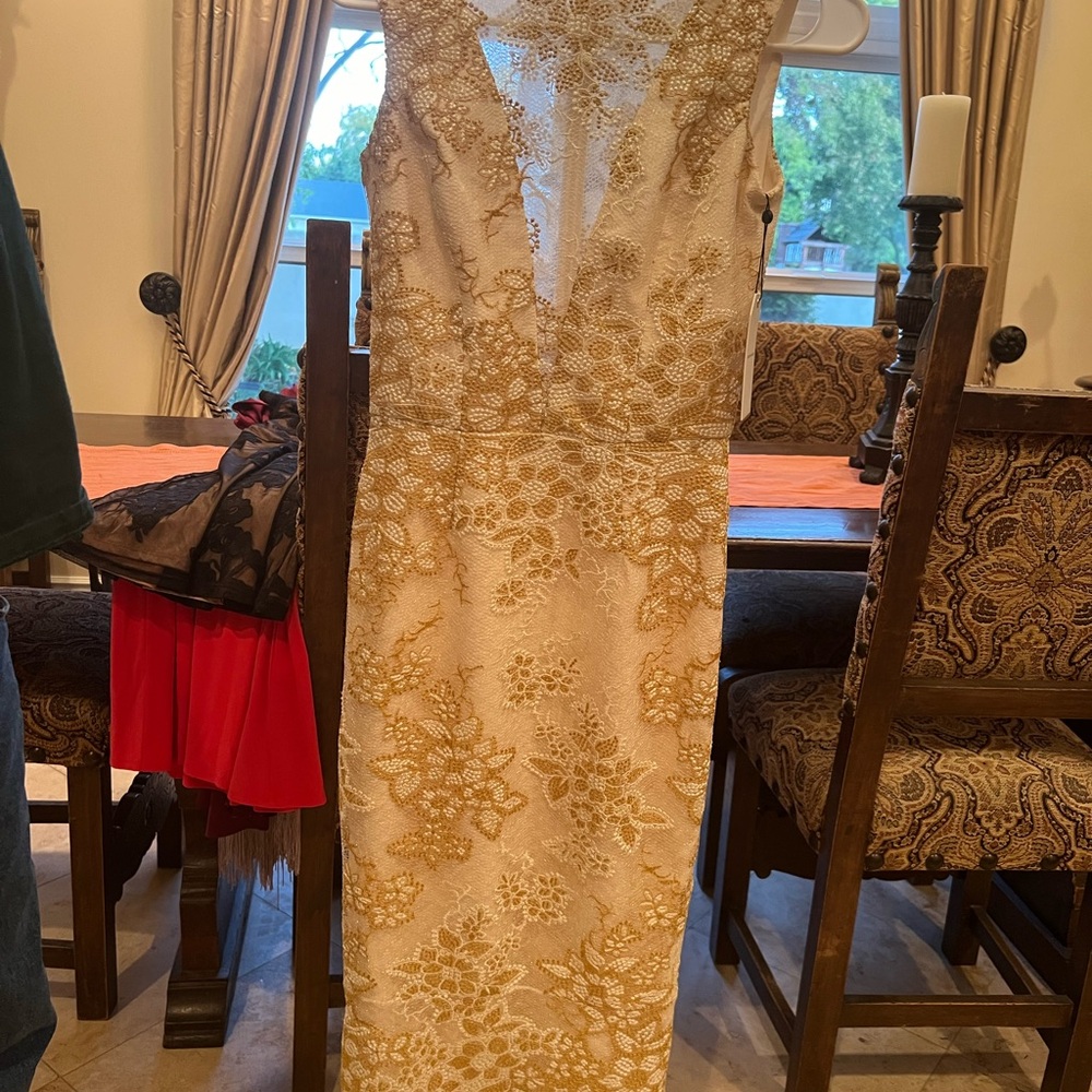 NWT! Gorgeous Dress the Population dress. Size xs.